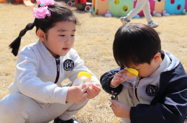 작은 봄꽃이 크게 보여요